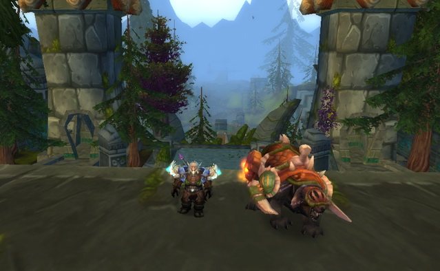 Wow Coolest Pets: The Amani Bear | Tales of a WOW Hunter